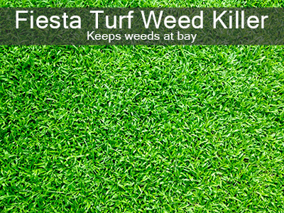 Fiesta Turf Weed Killer title on green lawn